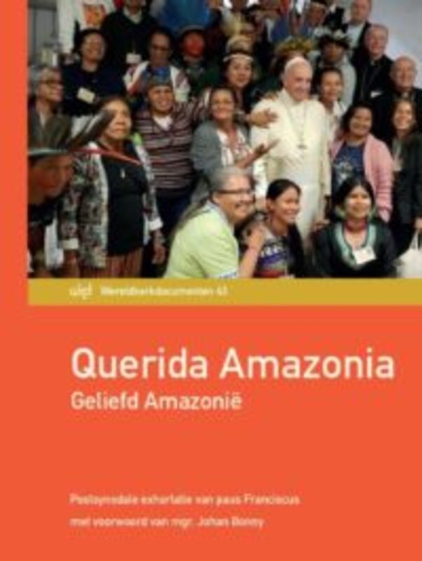Omslag van boek: Querida Amazonia. Geliefd Amazoniê